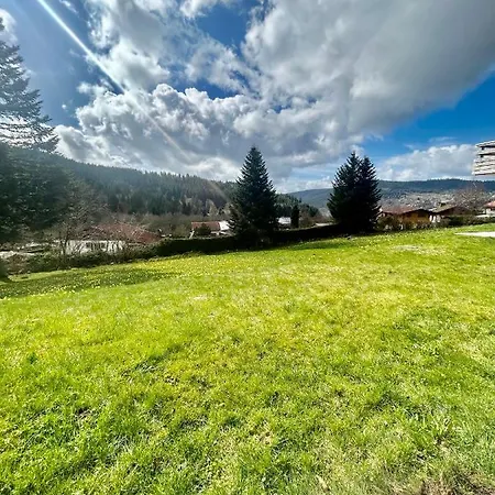 Appt 4/6 Rez De Jardin