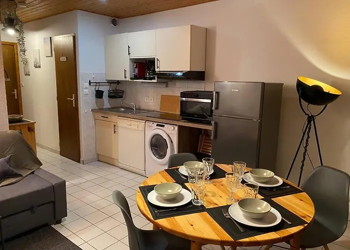 Appt 4/6 Rez De Jardin Appartement *