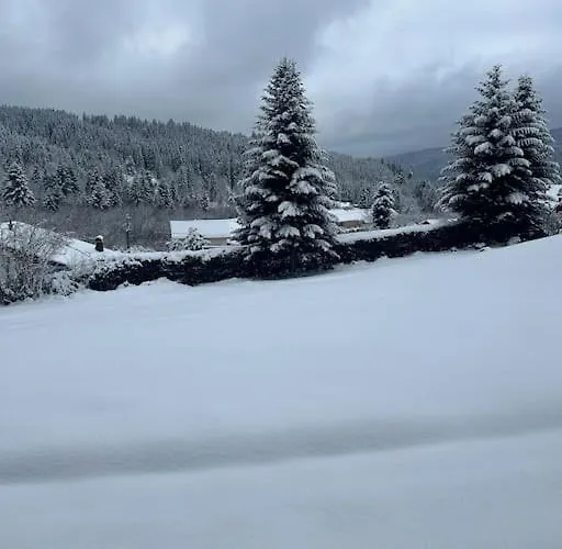 Appt 4/6 Rez De Jardin Appartement